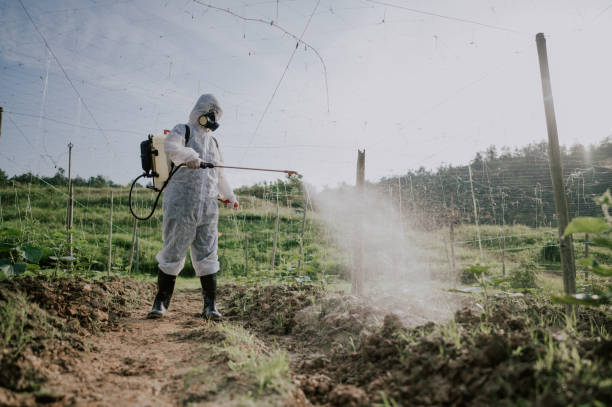 Best Mosquito Control Services  in Loch Sheldrake, NY