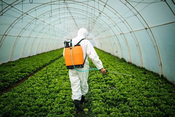 Best Affordable Pest Control Services  in Loch Sheldrake, NY